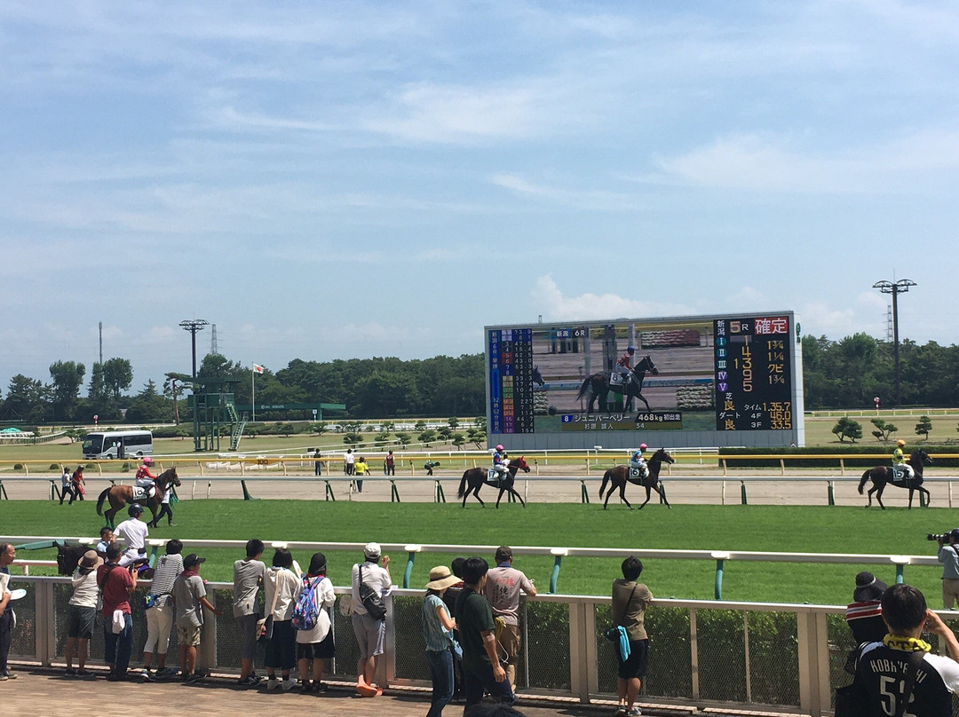 Niigata Horse Racetrack景点图片