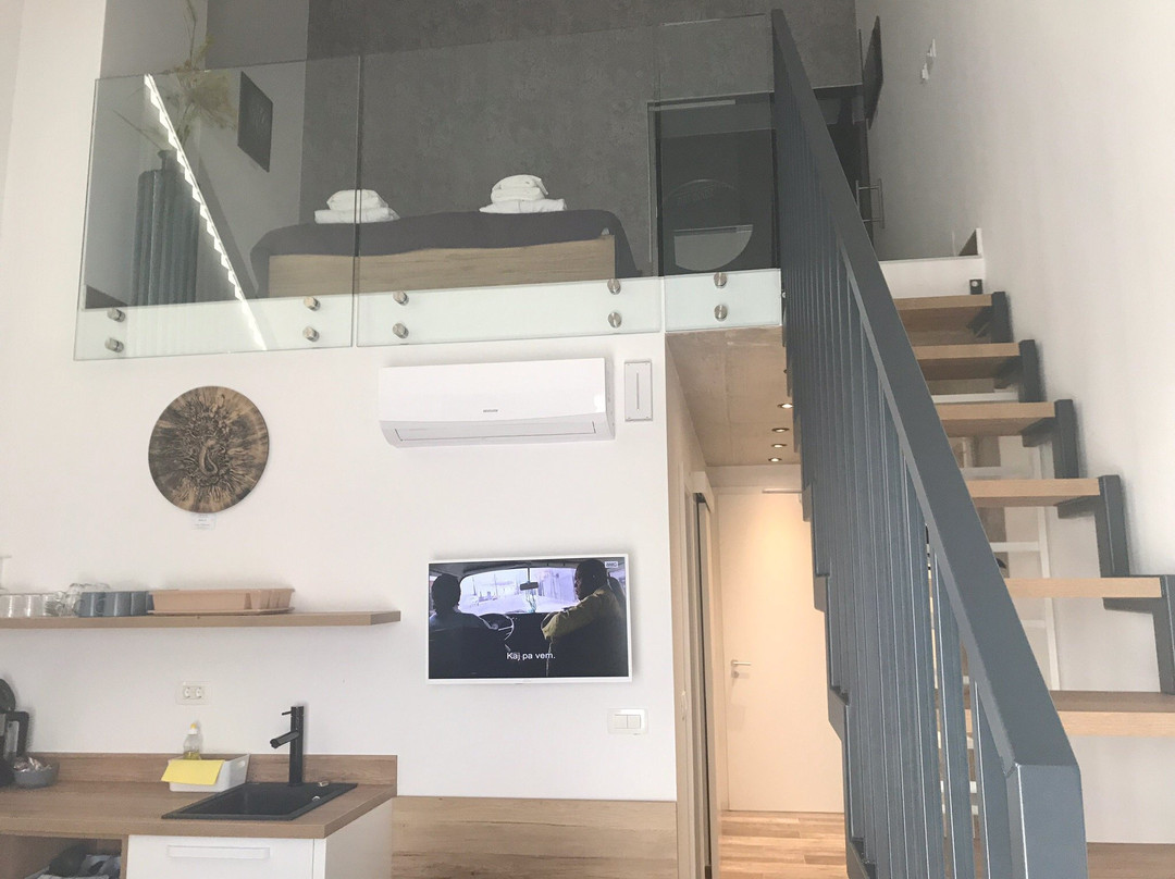 Grosuplje酒店住宿-Apartments Art House