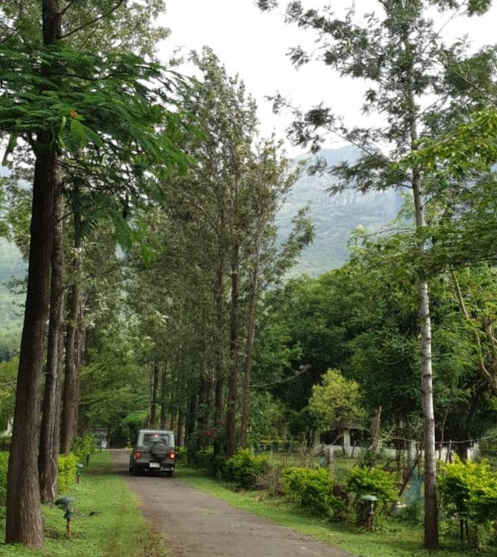 The Monarch Safari Park主图