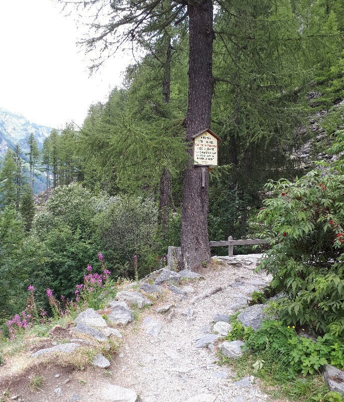 Sentier du bisse du Glacier du Trient-Trient必去景点