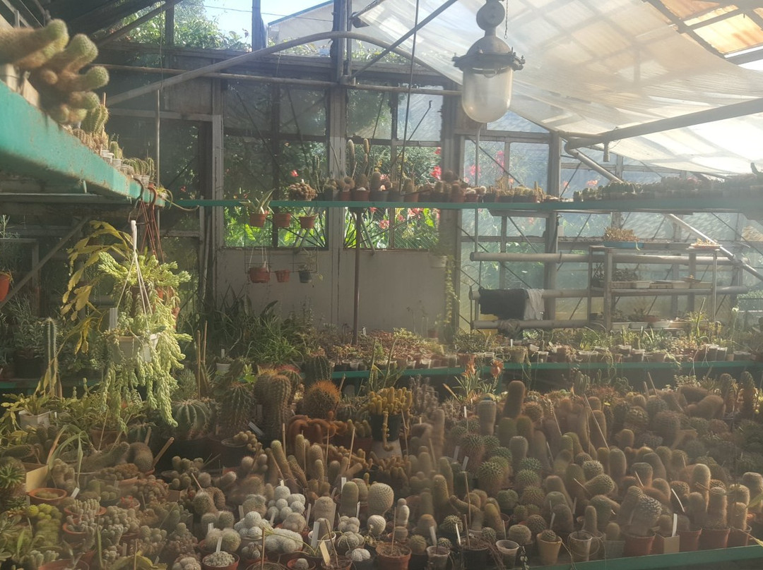 Zaporizhzhya City Children Botanic Gardens-Zaporizhzhya必去景点