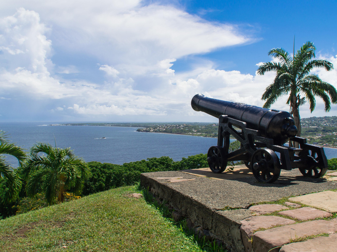 Tobago Fun Island Tours-多巴哥必去景点
