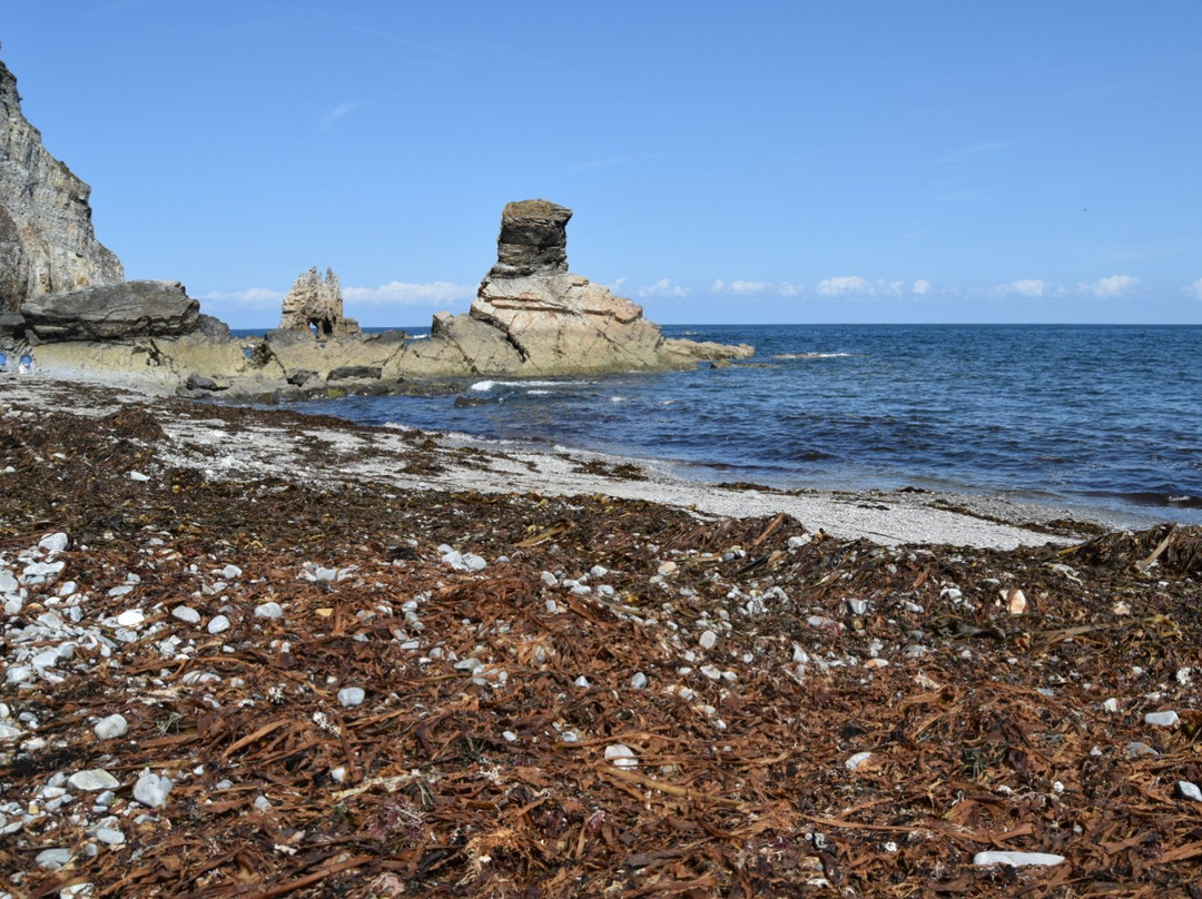 Playa De Portizuelo-卢阿尔卡必去景点