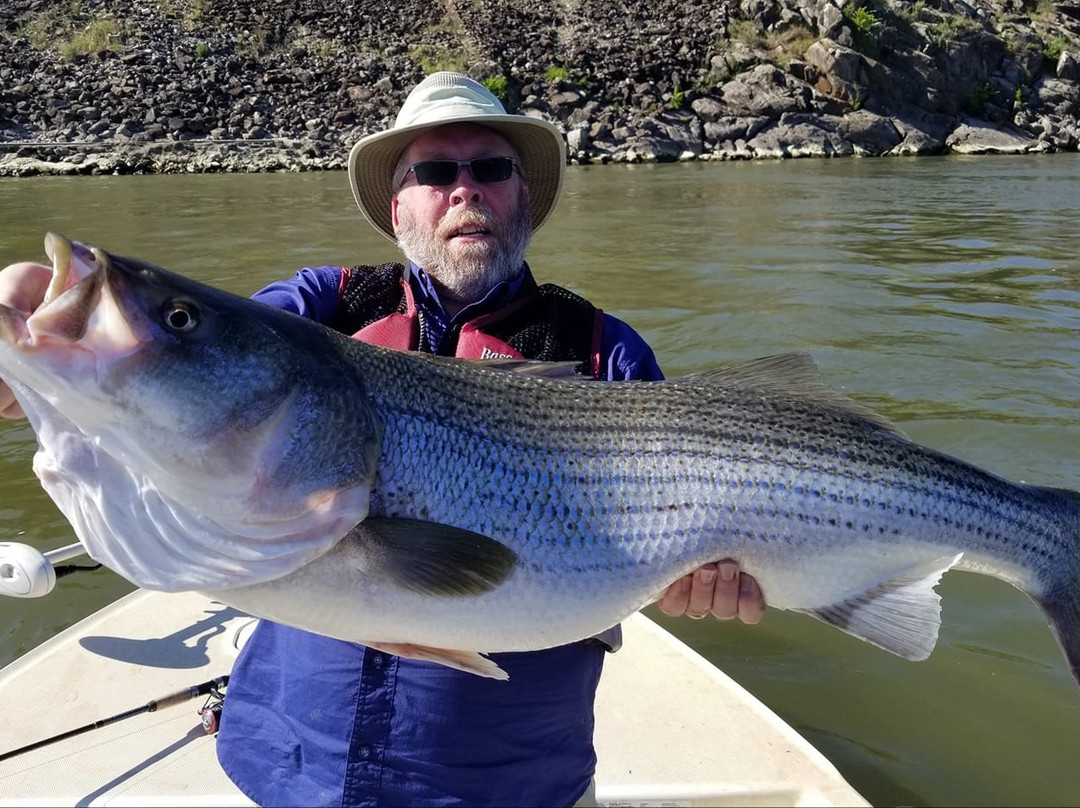 Fish On! Guided Tours-诺克斯维尔必去景点