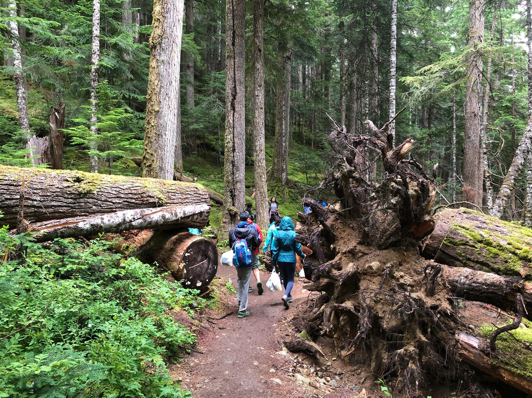 Cheakamus Lake Trail-惠斯勒必去景点