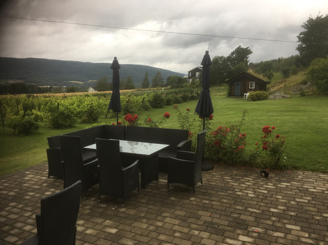 Gvarv旅游攻略图片