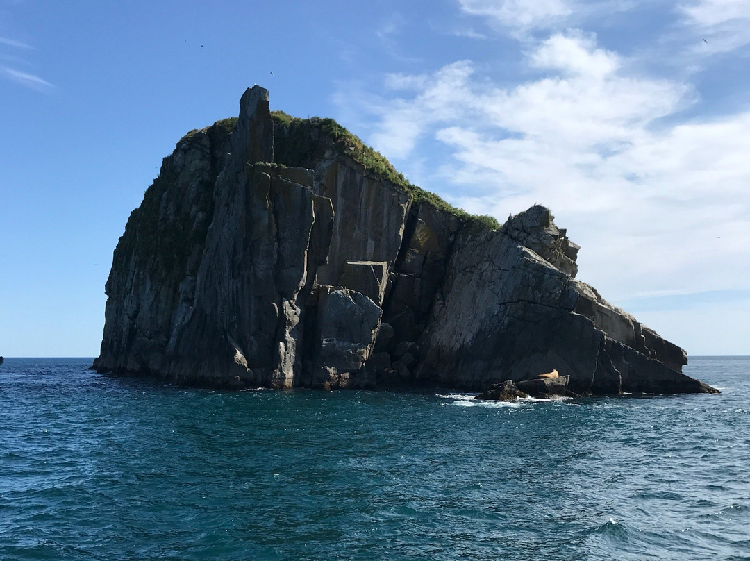 基奈峡湾巡航之旅景点图片