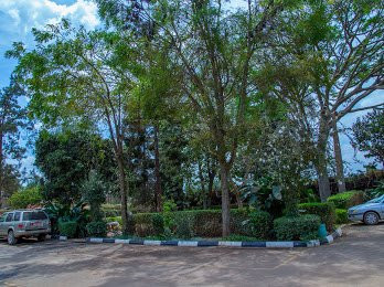 Little Woods Inn主图