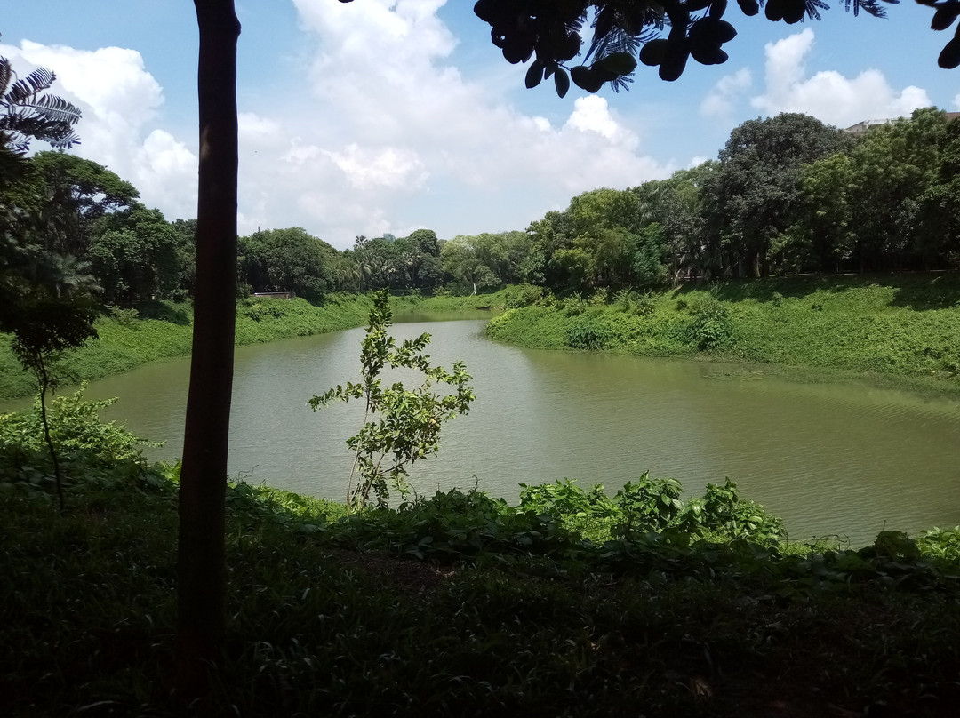 Gulshan Lake Park景点图片