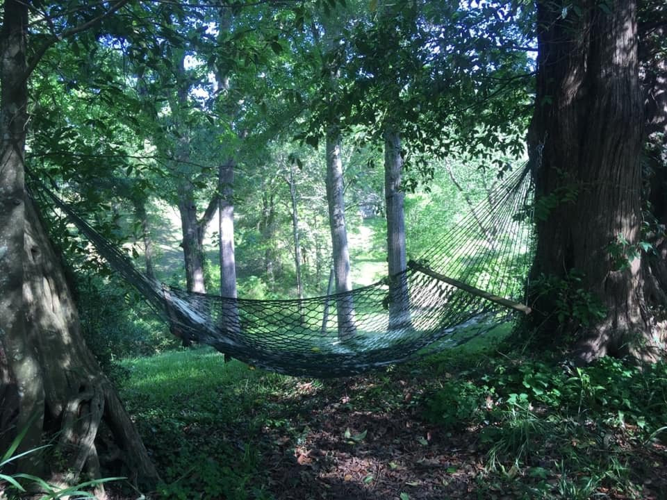 Shadetree Inn B&b主图