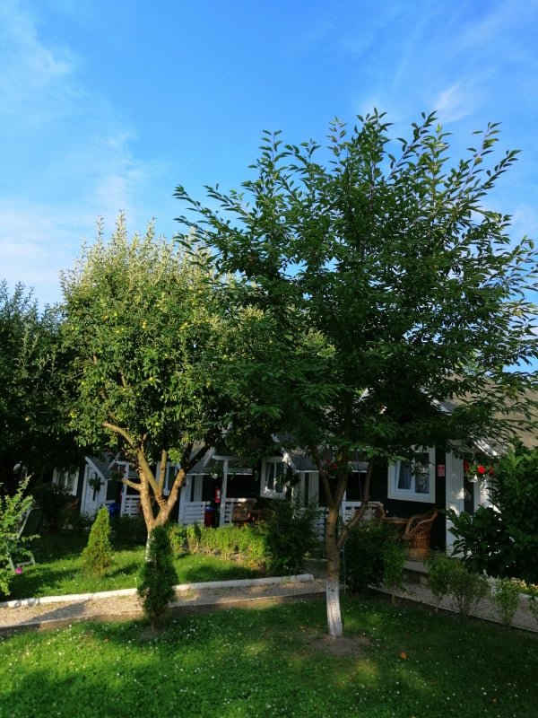Pensiunea Padurea de Smarald-家庭/游戏区