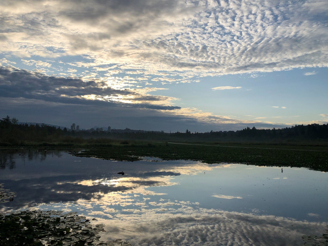 Burnaby Lake-本那比必去景点