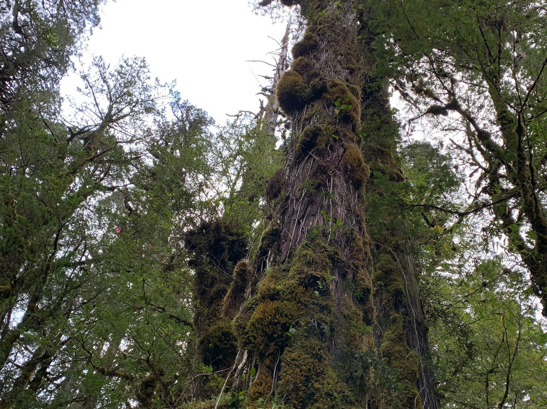 Parque Pumalin-Chaiten必去景点