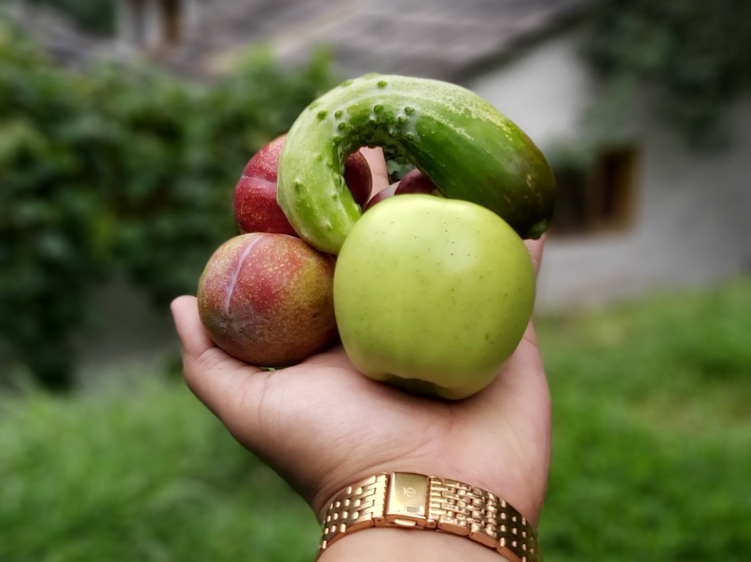 The Himalayan Trout House主图