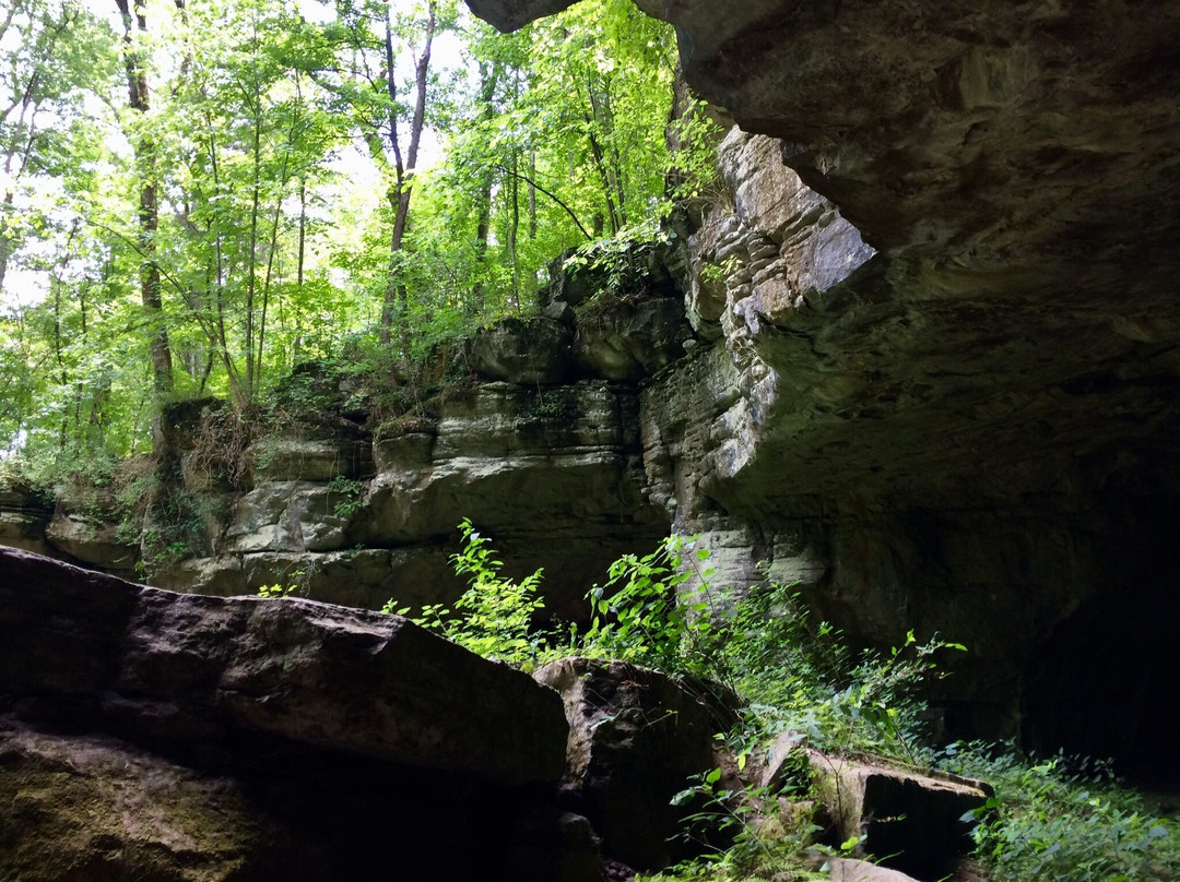 Russell Cave National Monument景点图片