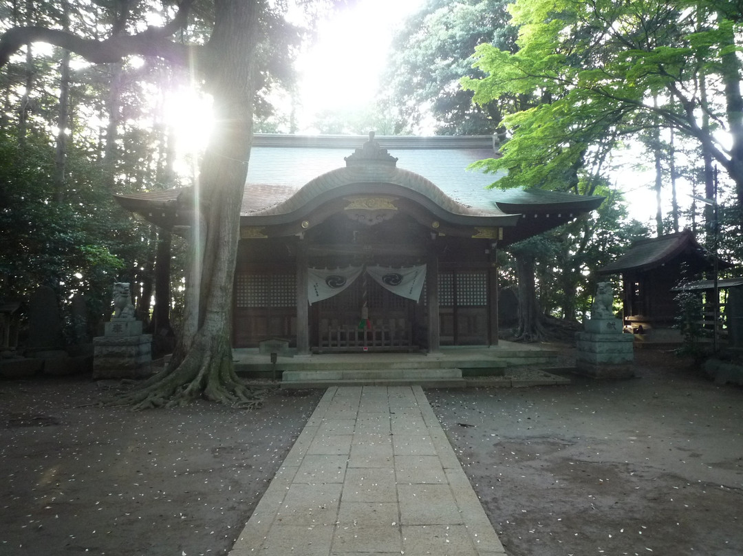 Omiya Shrine-流山市必去景点