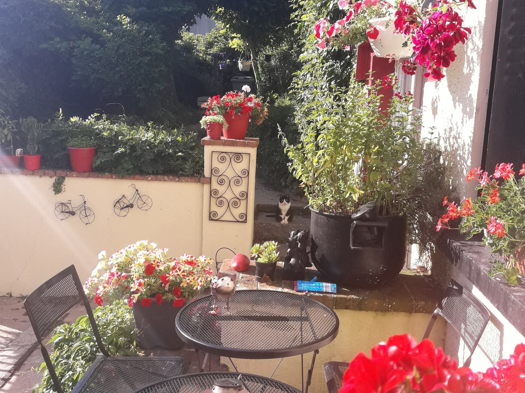 Sunset House Bed and Breakfast主图