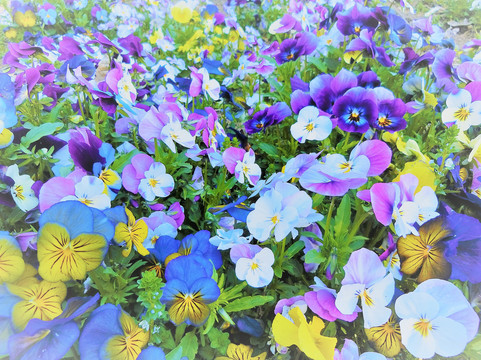 Kita Naganuma Suiko Park