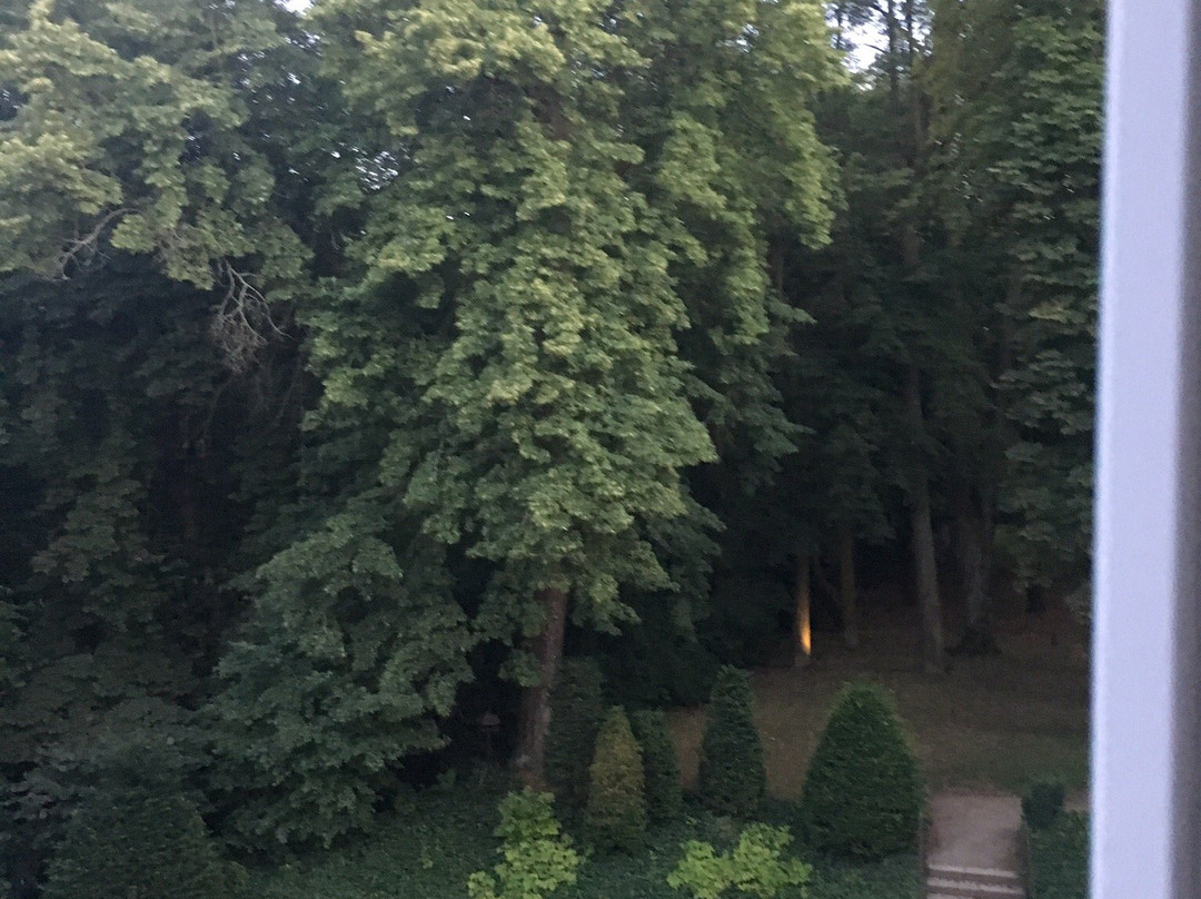 Weltemühle - Hotel by Miri´s Dresden主图