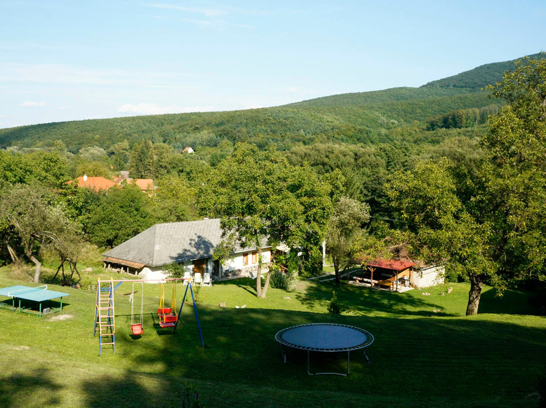 Napsugár Vendégház - Sátoraljaújhely