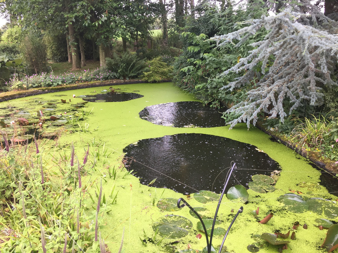 Kenchester Water Gardens景点图片