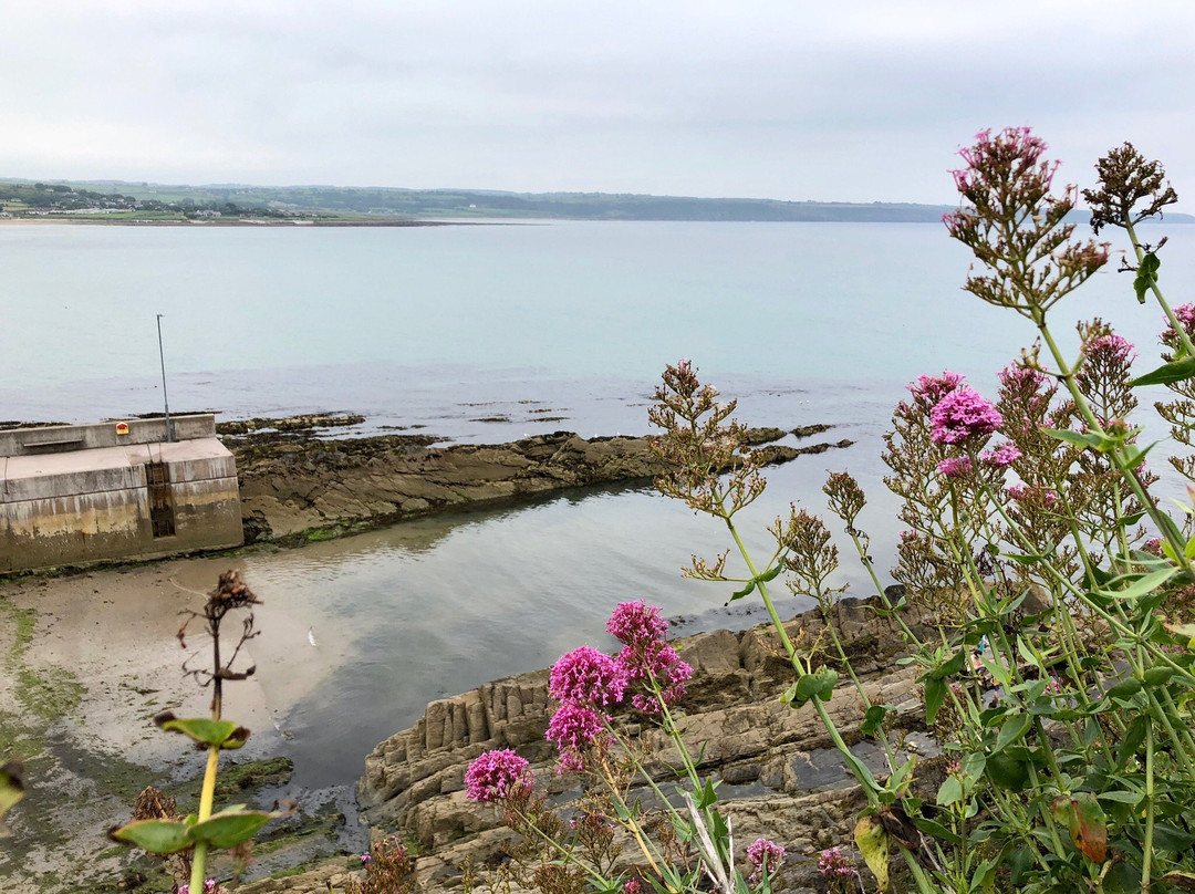 Ardmore Round Tower And Cathedral景点图片