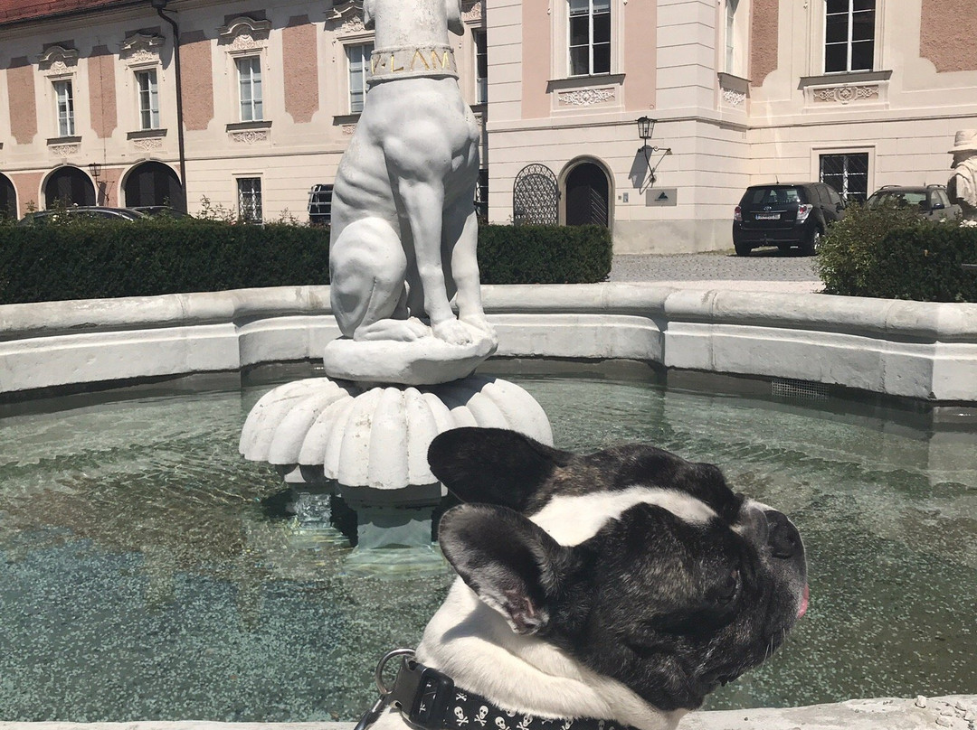 Brunnen mit Hundeplastik景点图片