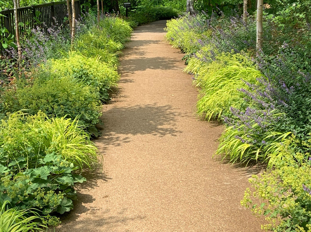 Oyuki Morino Garden-上川町必去景点