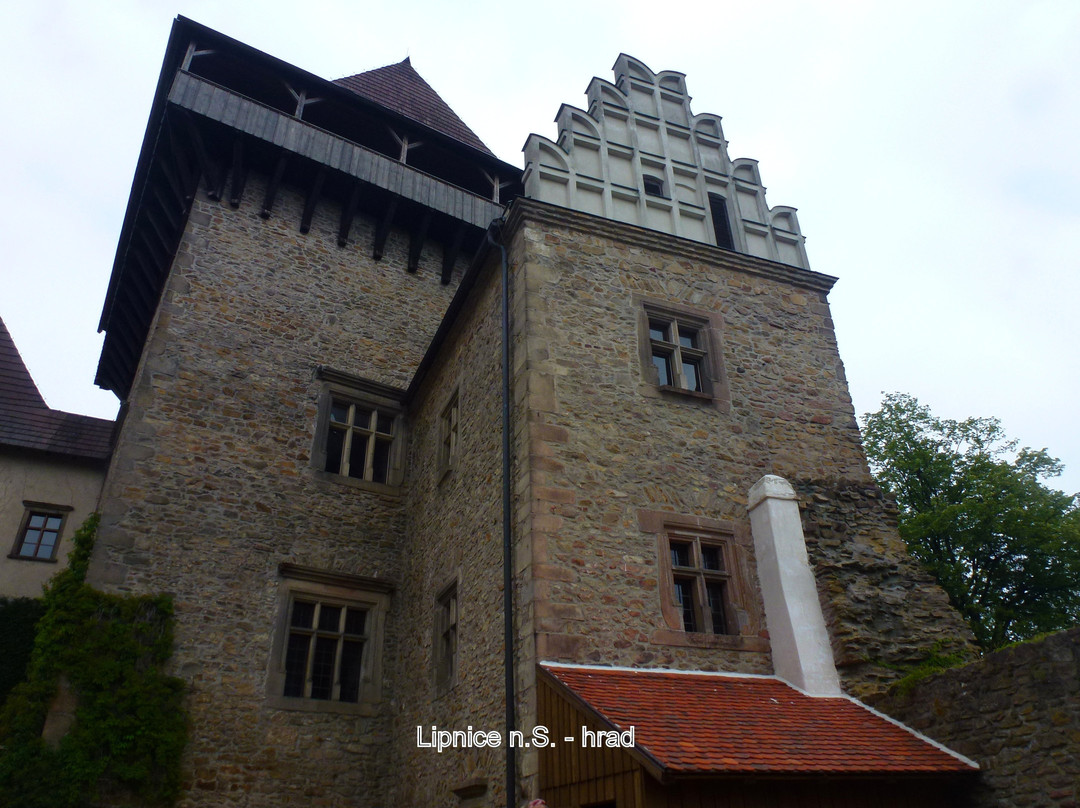 Státní hrad Lipnice景点图片