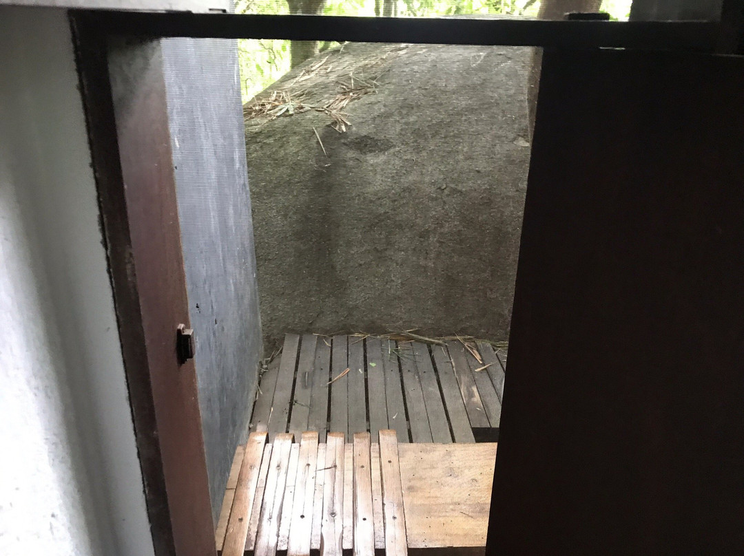 Uravu Bamboo Grove - A Wandertrails Showcase主图