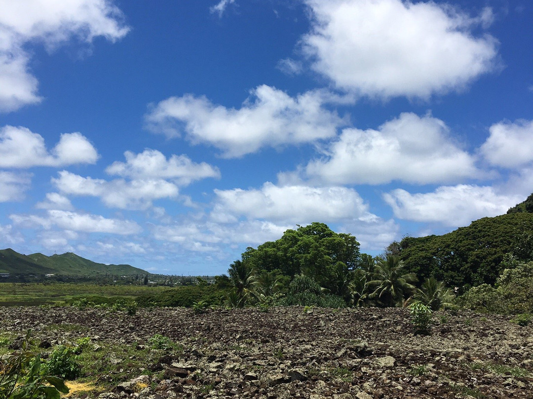 Ulupo Heiau State Monument景点图片