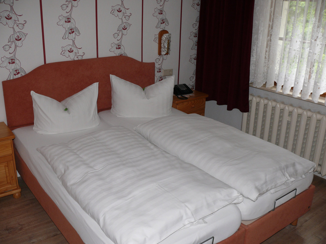 Hotel Zum Buergergarten主图