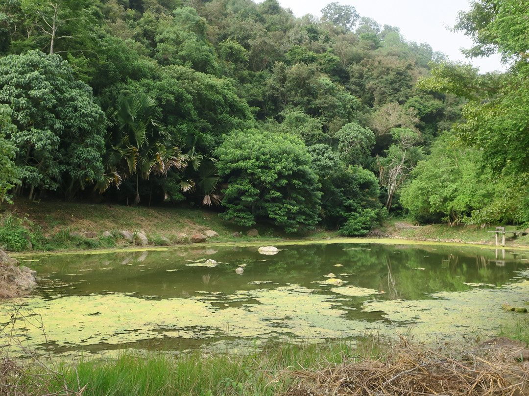 克里奥艾拉度假村主图