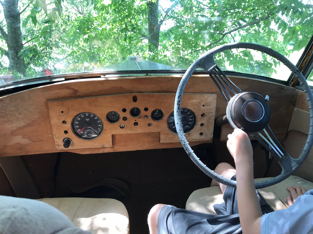 Tree Creations in Geneseo-Geneseo必去景点