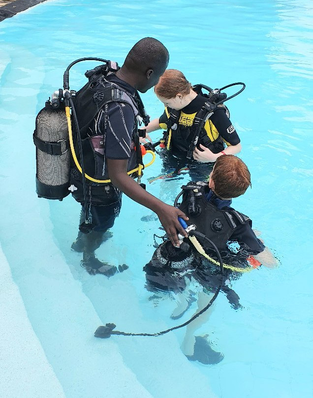 Baracuda Diving Kenya景点图片