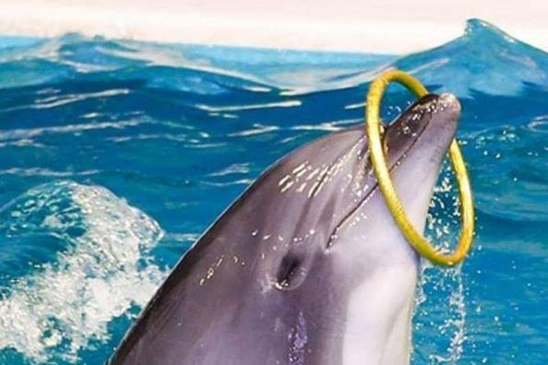 egyptwhitedesert-Kharga必去景点