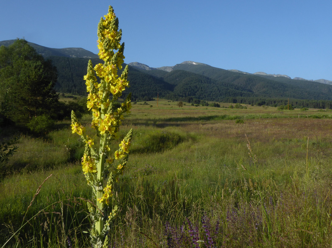 Hotel Krusharskata Kashta主图