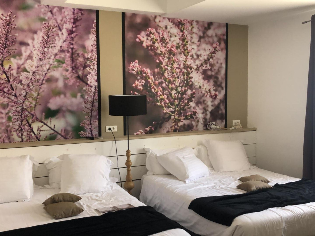 Hotel Chez Carriere主图