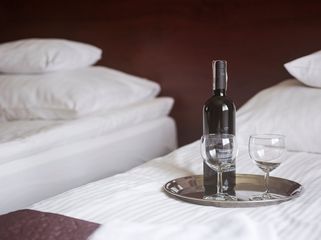 Vinci Hotel Krakow Airport主图