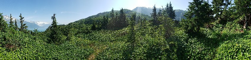 Horsetail Falls Trail-惠提尔必去景点