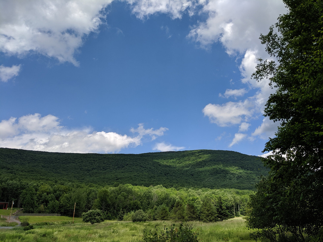 Spruceton Inn - a Catskills Bed and Bar主图