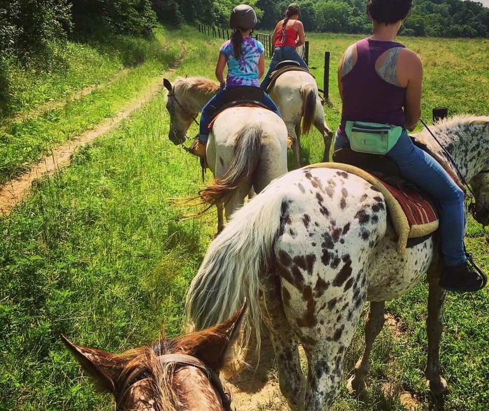 The Spotted Horse Ranch-Laurelville必去景点