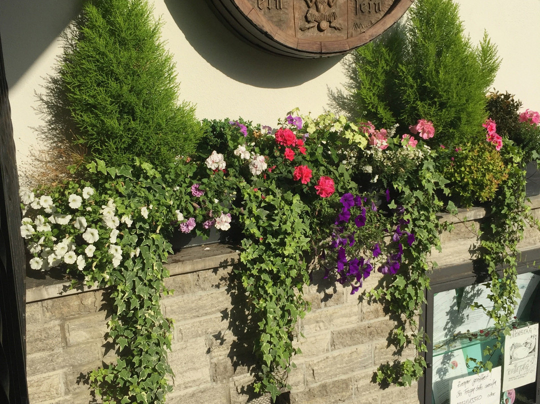 Gasthaus zum Stern主图