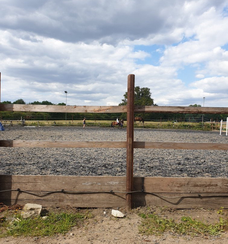 Chessington Equestrian Centre景点图片