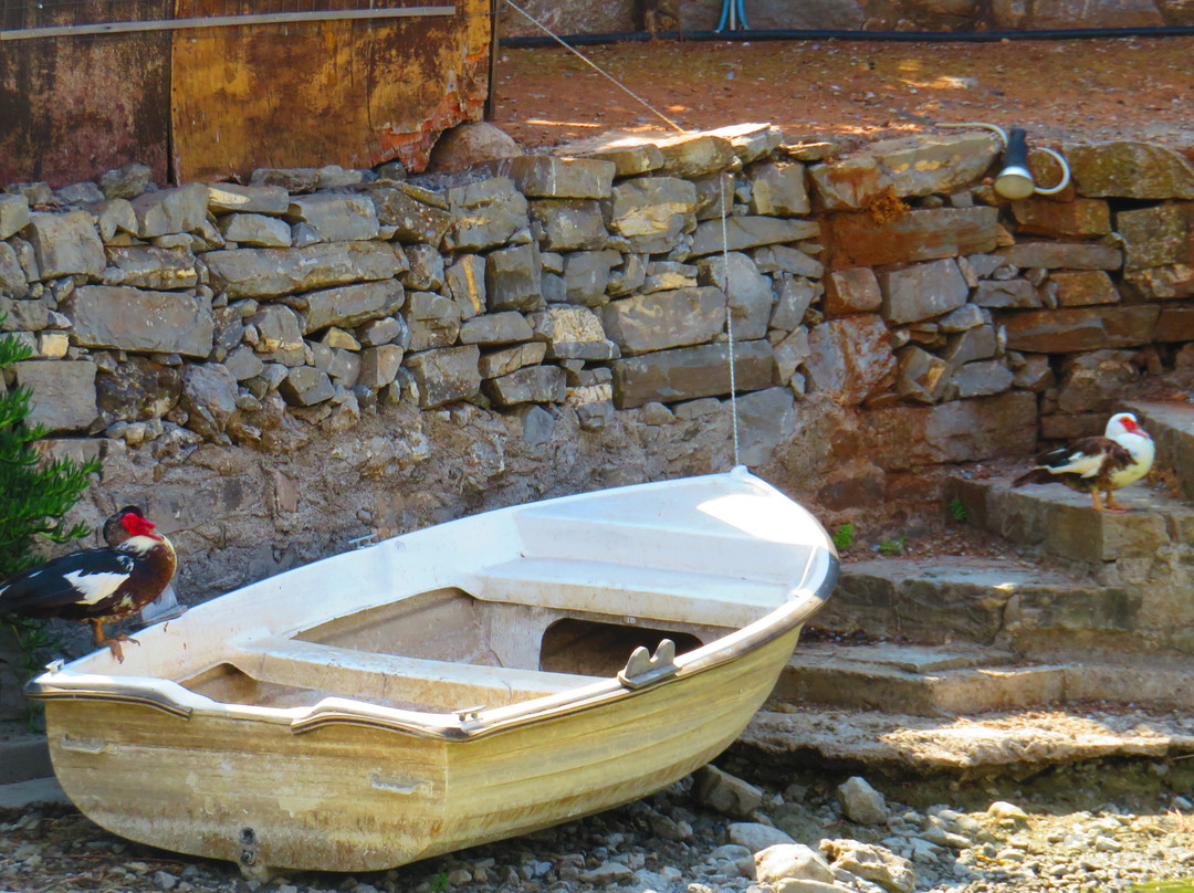 Delina Mountain Resort主图