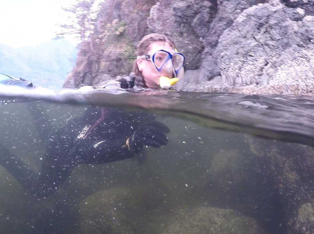 Sea Dragon Charters-马蹄湾必去景点