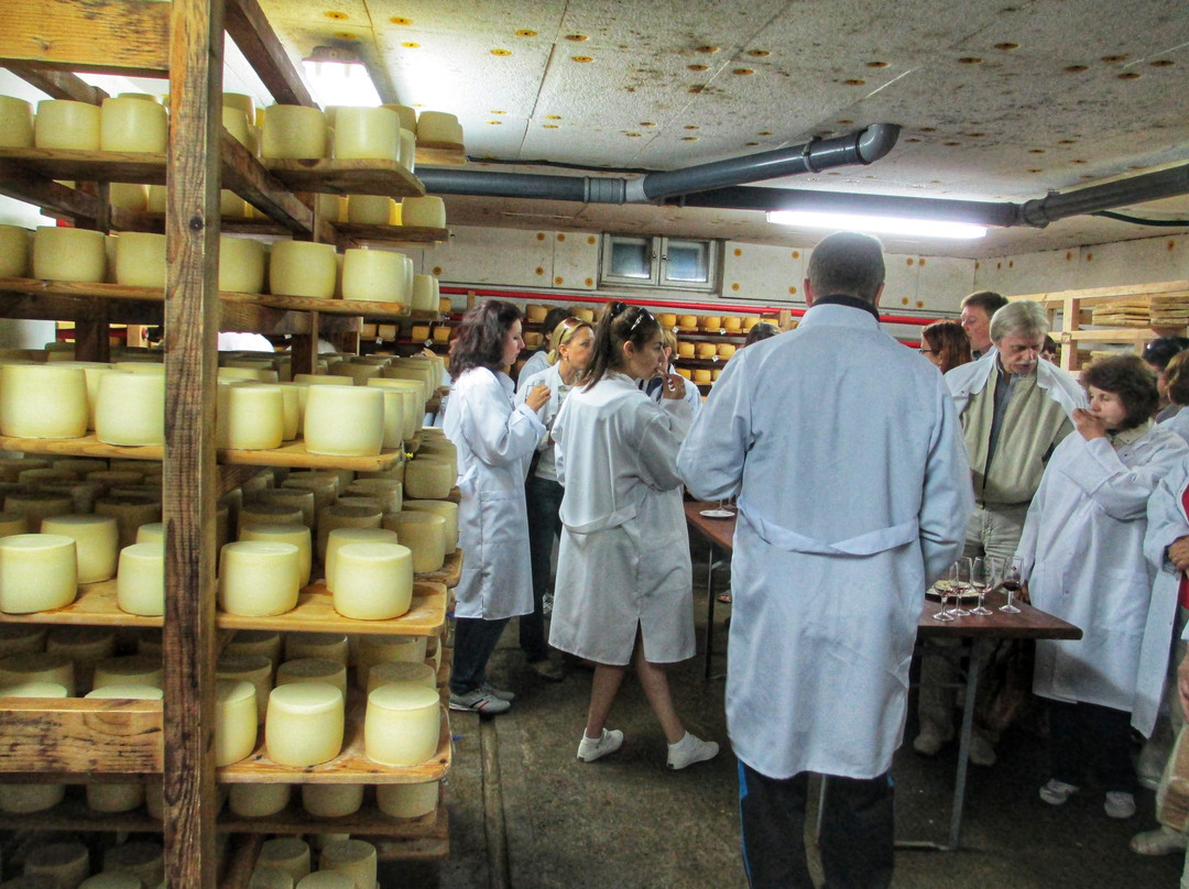 Selyshche Cheese Factory-Nyzhnje Selyshche必去景点