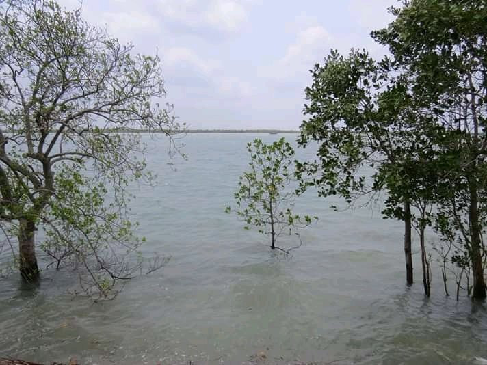 Sundarban Tour And Travels-Gosaba必去景点