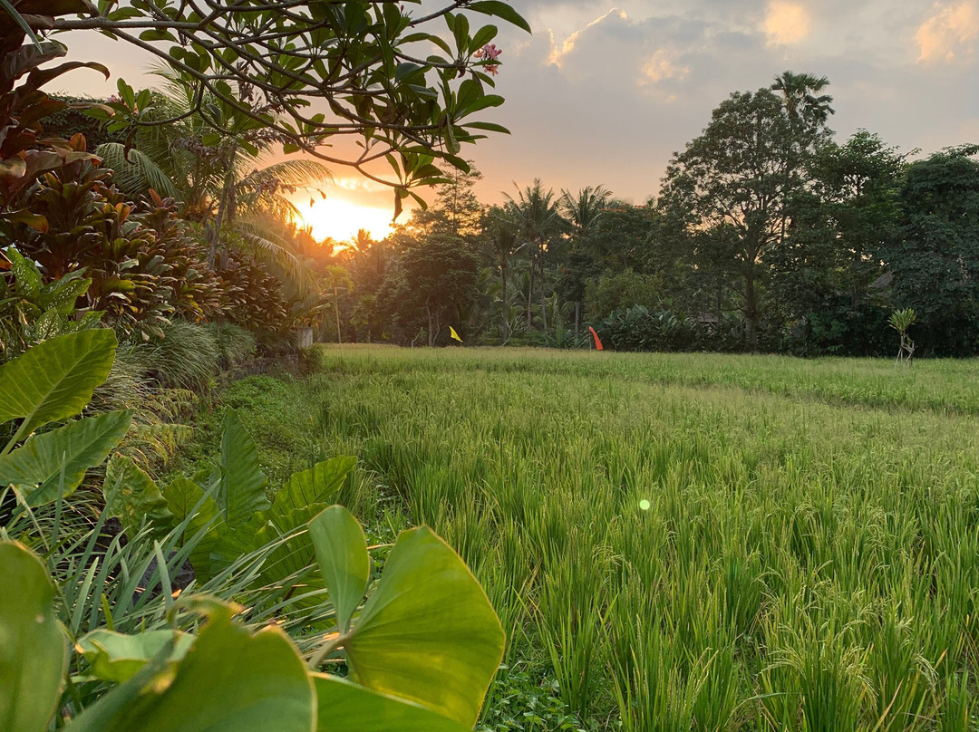 Byasa Ubud主图