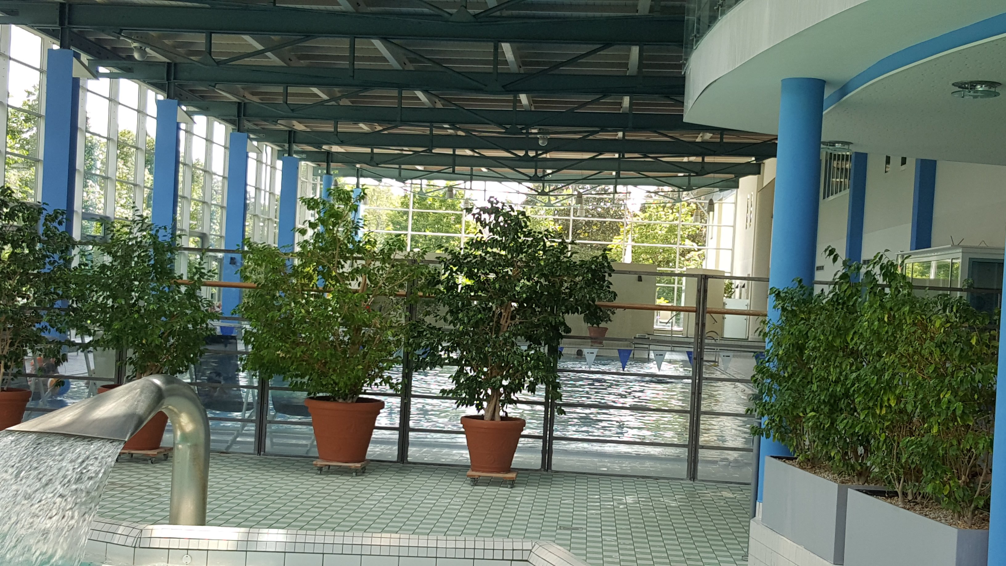 维斯克彻弗莱尔公园酒店-泳池